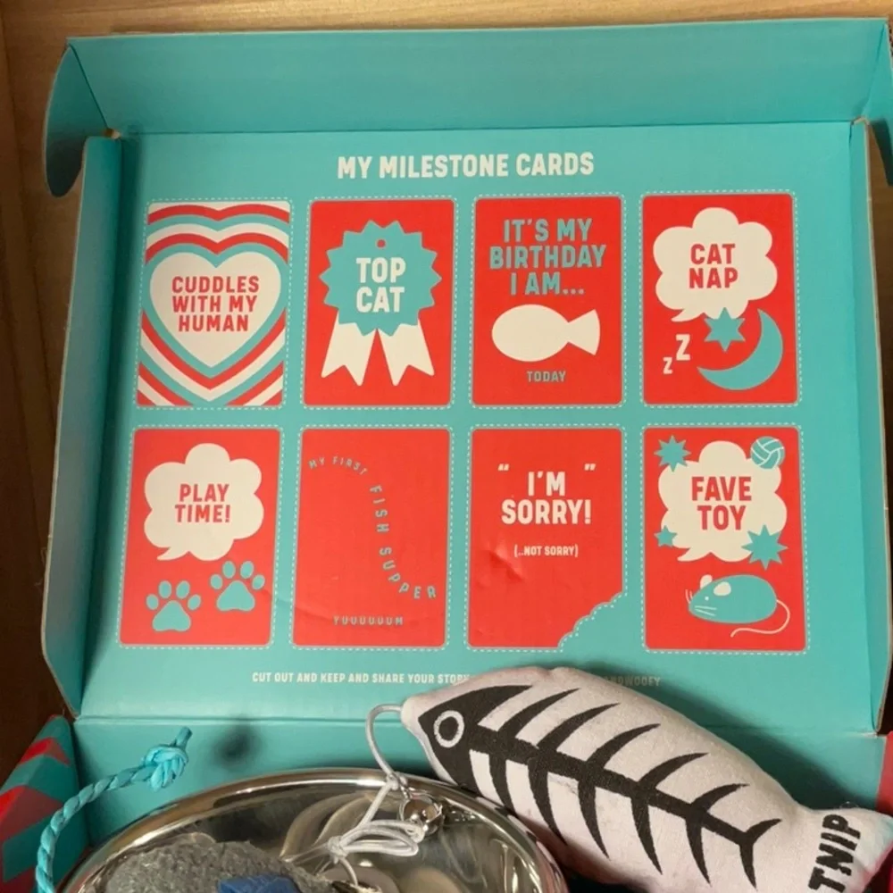 EAT SLEEP PURR REPEAT-new cat starter kit-“FEED ME MEOW” bowl, collar, 2 toys